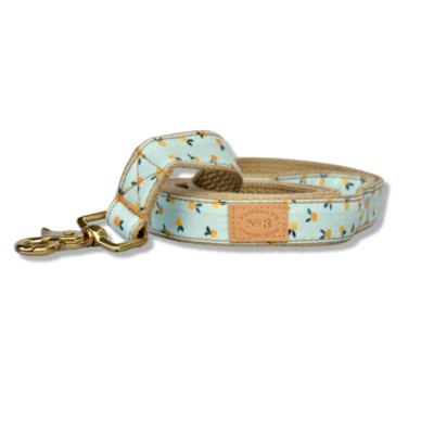 Clementine Dog Lead (Made in the USA)