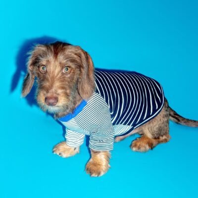 Black & White Crazy Striped Dog T-Shirt (Made in the USA)