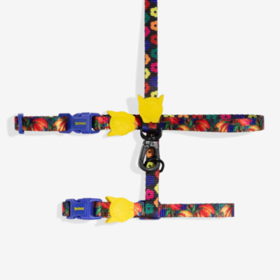Samba Cat Harness w/ Leash