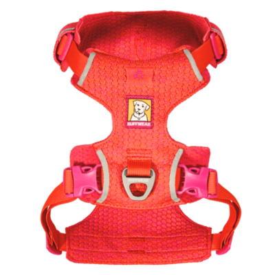 Front Range Flex Harness in Rose Violet