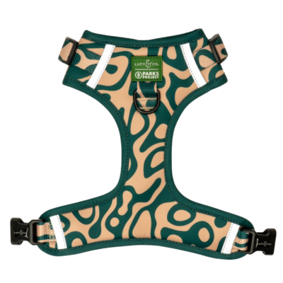 Lucy & Co. x Parks Project Geyser No-Pull Harness