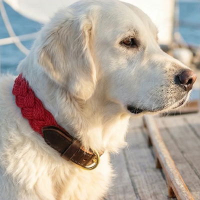 Seaside Cotton Woven Rope Dog Collar in Red