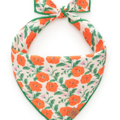 Golden Poppies Dog Bandana (Made in the USA)