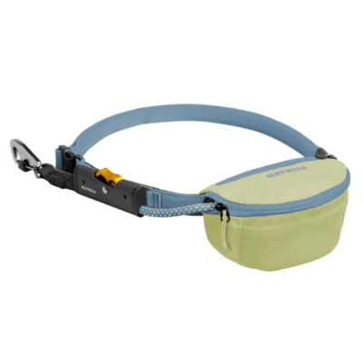Hitch Hiker? Dog Leash in Sunny Lime