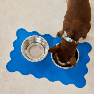 The Fritz Silicone Dog Placemat