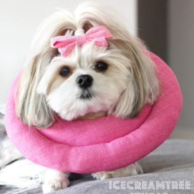 Hypoallergenic Soft Comfy Pet Cone (Made in the USA)