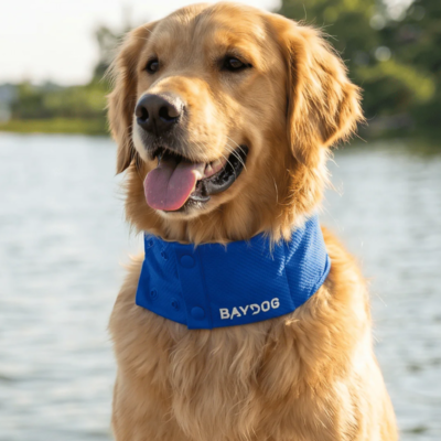 Arctic Cooling Collar for Dogs
