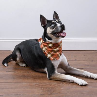 Fall Plaid Dog Banana Set (3-Pack) (FINAL SALE)
