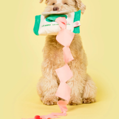 Doggo Wipes Nosework Dog Toy