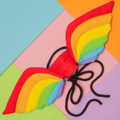 Adjustable Tie-On Rainbow Dog Wings