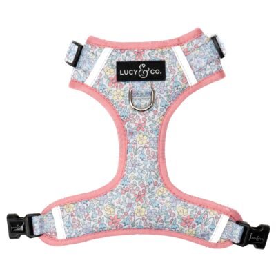 Ditsy Daydream No-Pull Harness