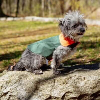 Reversible Dog Raincoat