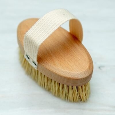 Grooming Dog Brush No. 01