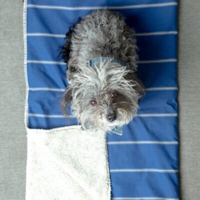 Newport Blue Stripe Blanket