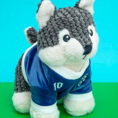Paw-Naldo Squeaky Plush Dog Toy