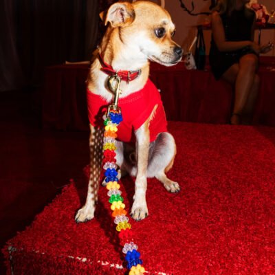 Beaded Dog Leash in Playdate (Made in the USA)