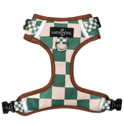 You’re a Square No-Pull Harness