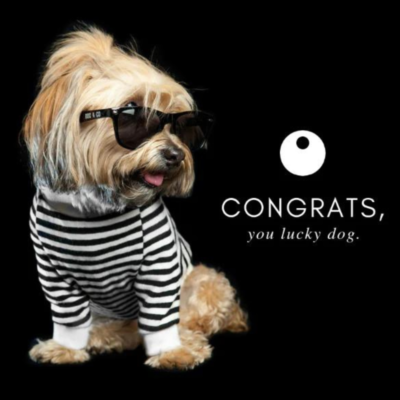 DOG & CO. | Physical Gift Card