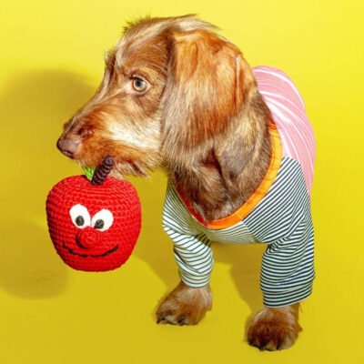 Cotton Crochet Apple Dog Toy