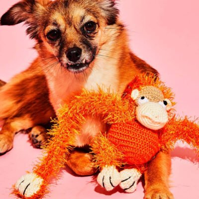 Hand Crochet Plush Monkey Dog Toy